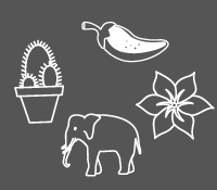 Animals & Plants